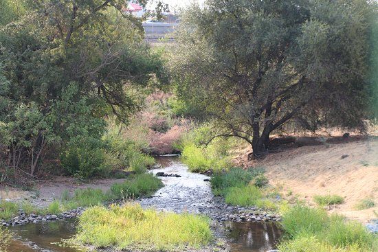 Antelope Creek Trail